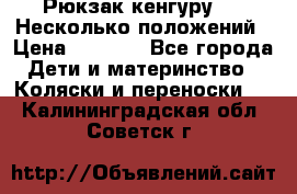 Рюкзак кенгуру 0 . Несколько положений › Цена ­ 1 000 - Все города Дети и материнство » Коляски и переноски   . Калининградская обл.,Советск г.